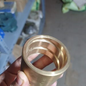 Bạc trục đứng to ( bạc bi tỳ ắc phi nhê)