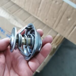 Van hằng nhiệt động cơ D12